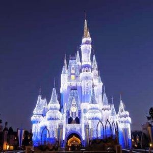 Meet your Posher, Peter